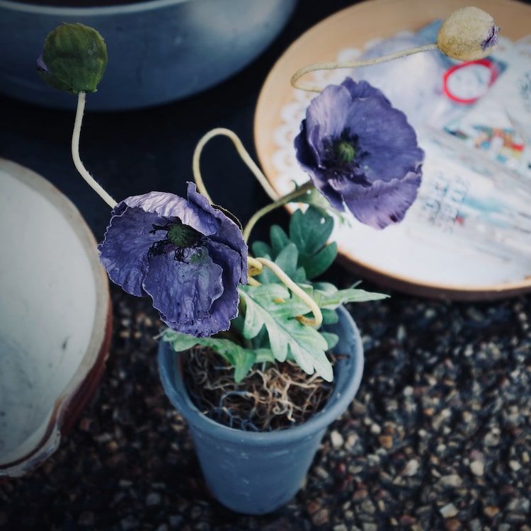 Peluches dans un sac, brocantes, vide-grenier, foire à tout - Antoine Fantin