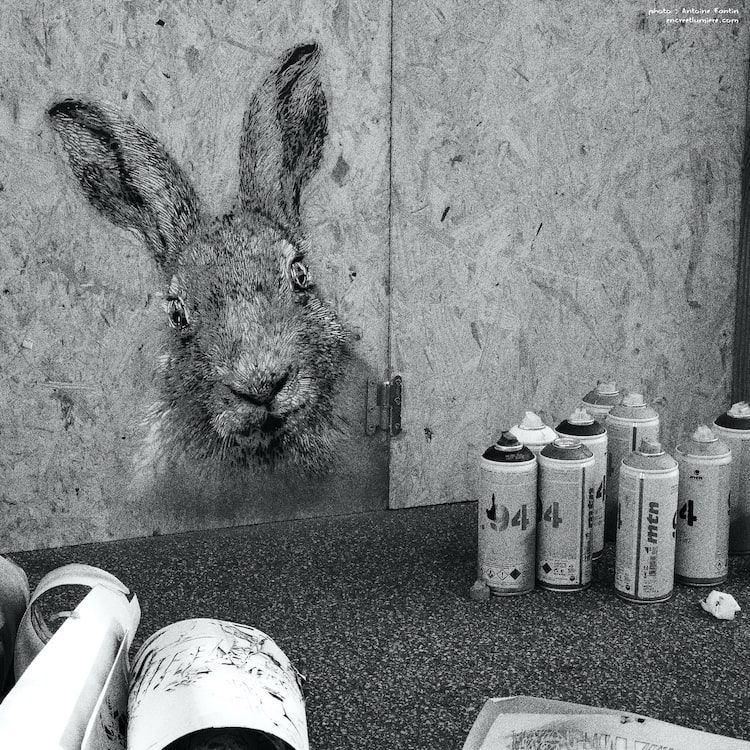 Steet-art : lapin peint à la bombe avec les bombes de peinture MTN 94