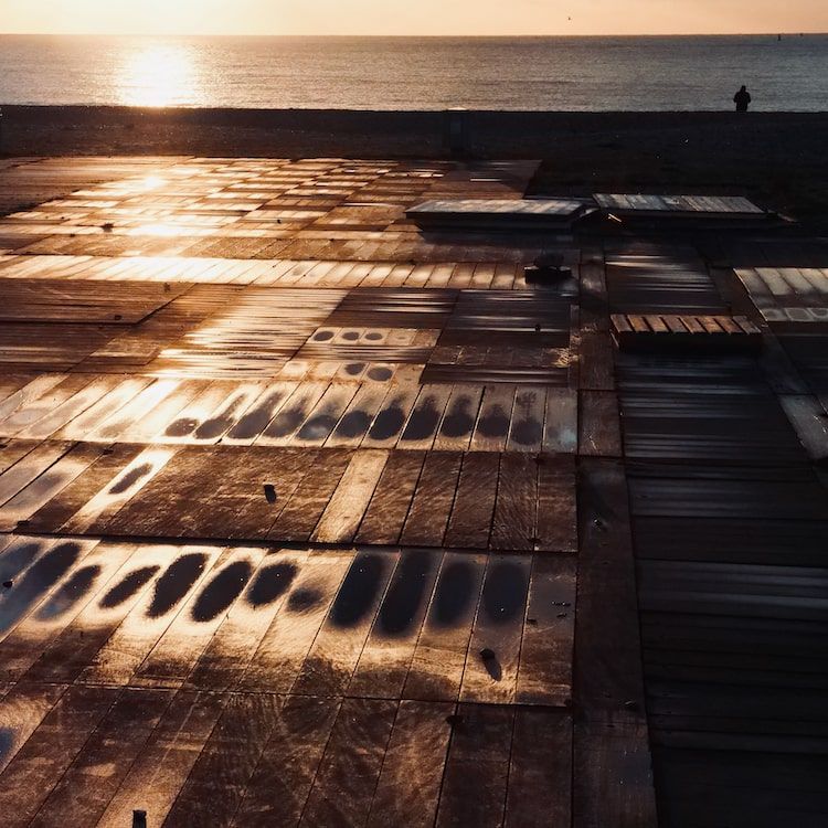 Tête de statues dans la forêts