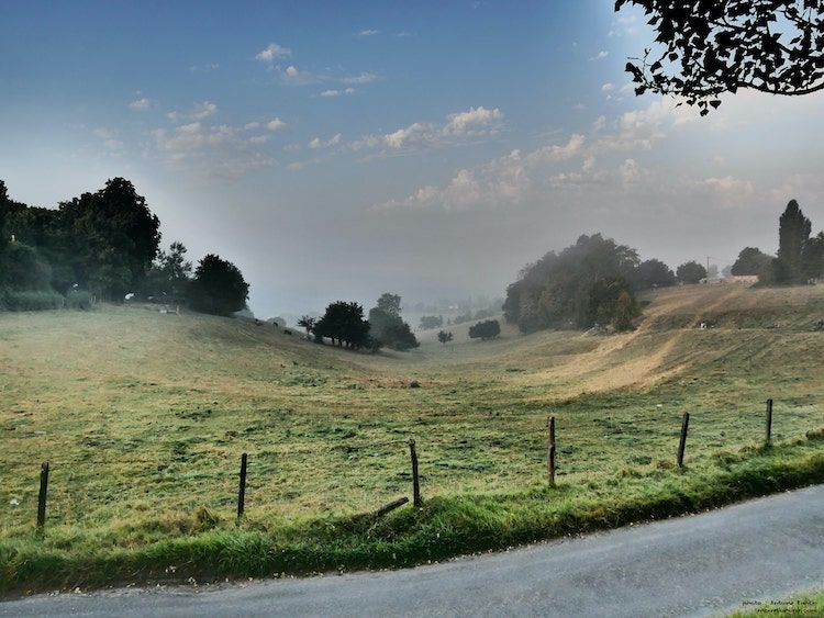 Vue d'une prairie à Lisieux. Photographe Lisieux, normandie.