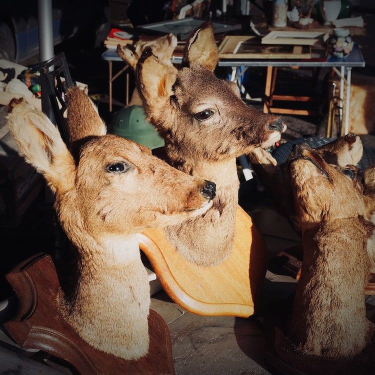 Peluches dans un sac, brocantes, vide-grenier, foire à tout - Antoine Fantin