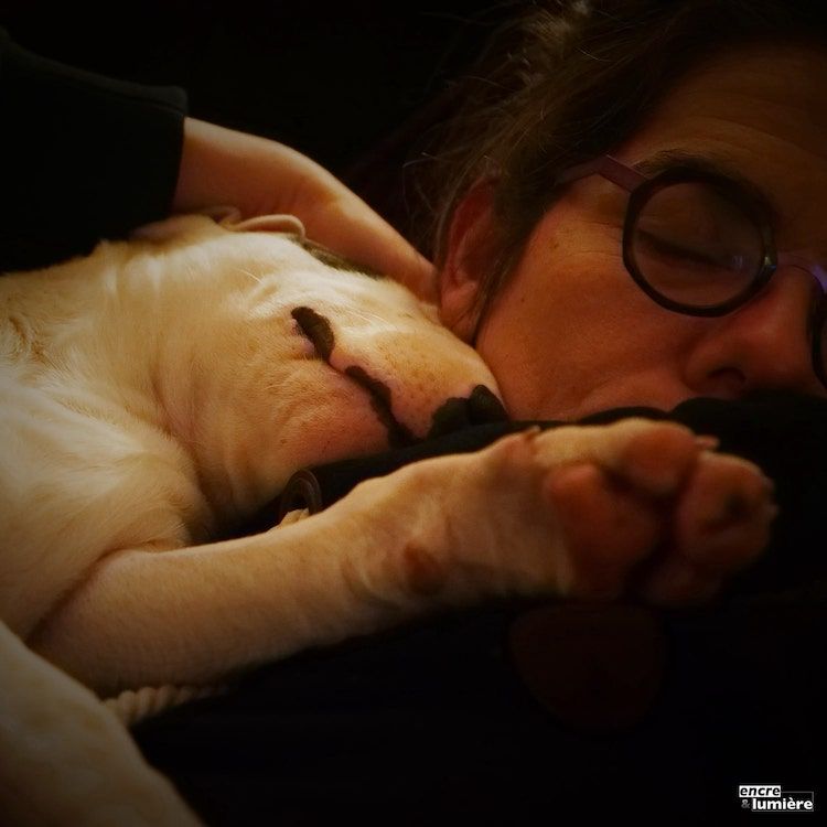 Chiot bull terrier endormi avec sa maitresse