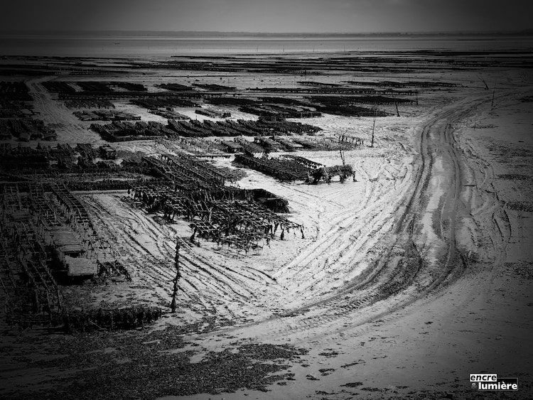 Ferme à huîtres (Cancale)