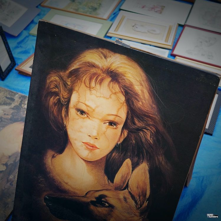 tableau femme, brocantes, vide-grenier, foire à tout - Photo : Antoine Fantin