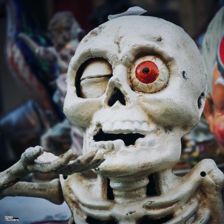 squelette, brocantes, vide-grenier, foire à tout - Antoine Fantin