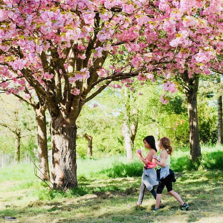 Enfants marchant dans la campagne à contre-jour.