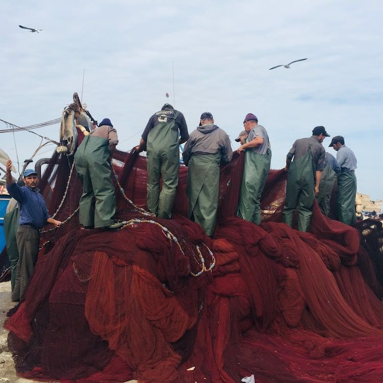 Pêcheurs d'Essaouira sur le port avec filet de pêche