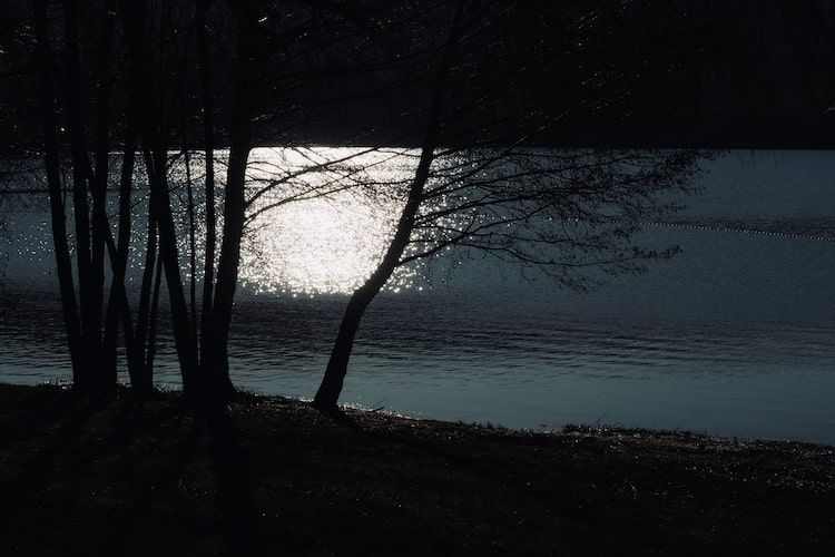 Ferme à huîtres (Cancale)