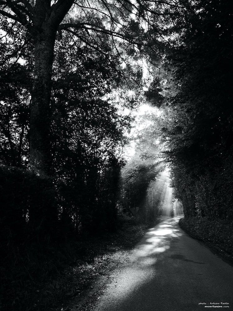 Route communale en normandie avec la lumière du soleil passant à travers les arbres.